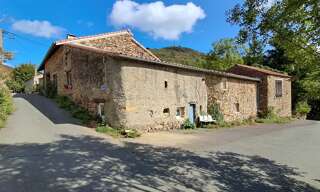 Maison 6 Pièces 268 m² à vendre à Riols (34220)