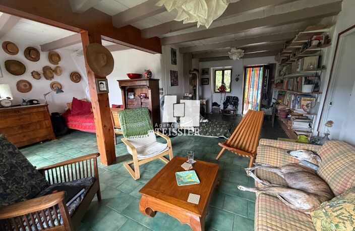 Mas — photo 4