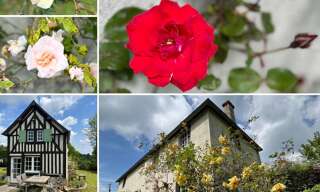 Maison 5 Pièces 72 m² à vendre à Beaufour-Druval (14340)