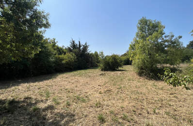 TERRAIN — photo du bien