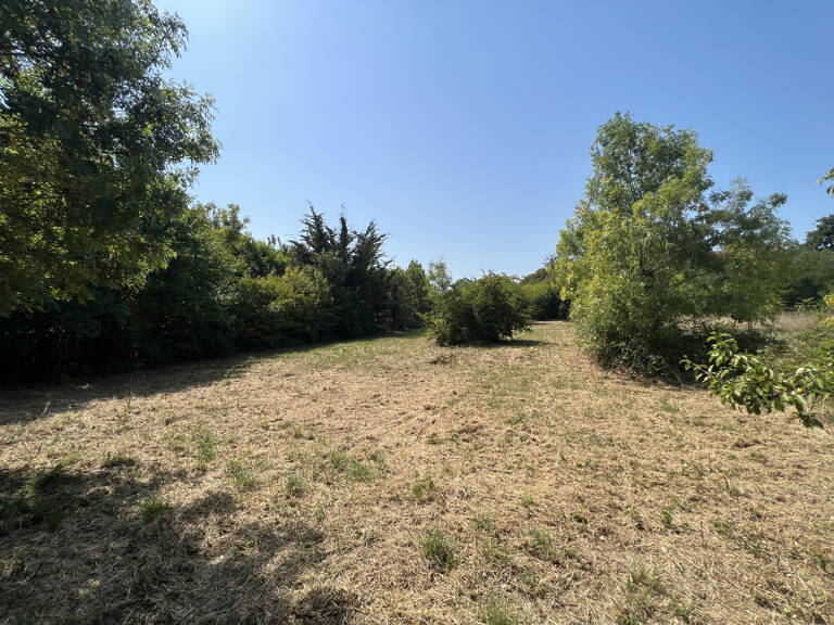 TERRAIN — photo 1
