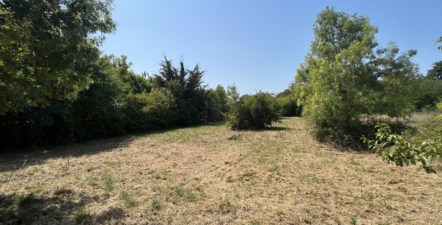 TERRAIN — photo 1