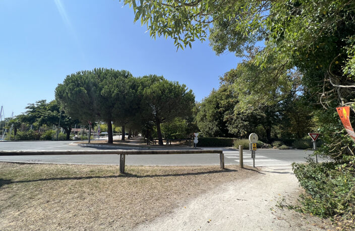 TERRAIN — photo 4