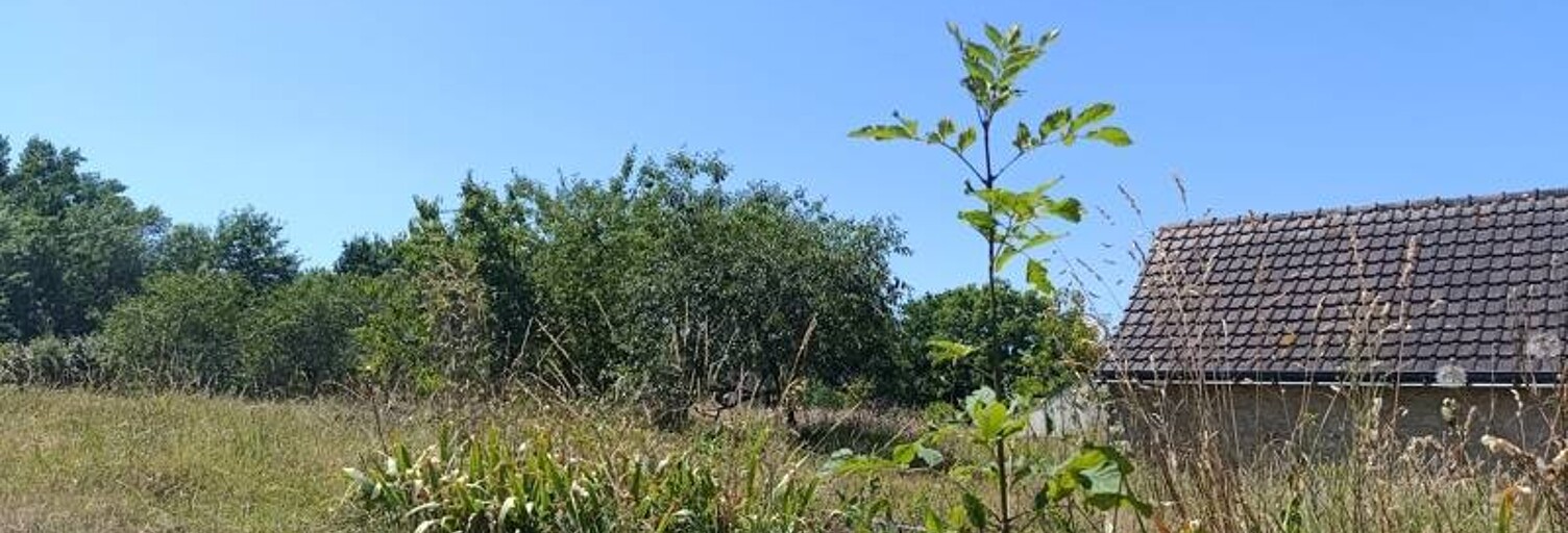 Terrain  540 m² à vendre à Sainte-Catherine-de-Fierbois (37800)