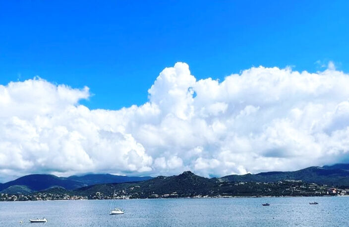 HOTEL RESTAURANT PIEDS DANS L'EAU - CORSE DU SUD — photo 3