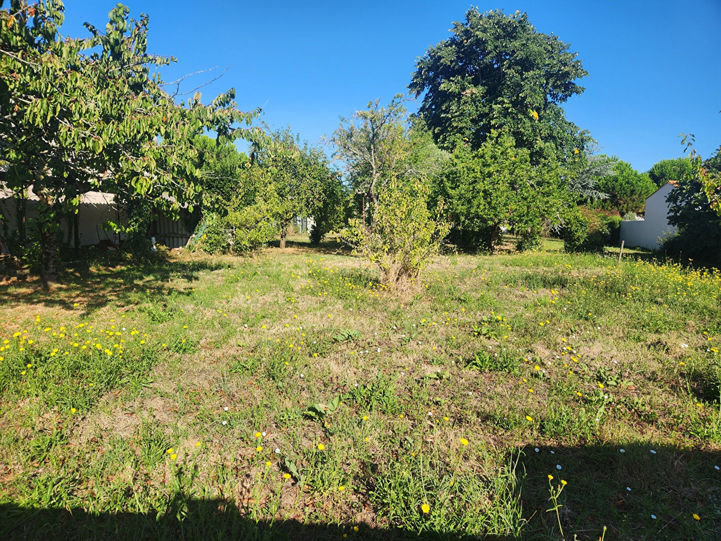 Terrain  à vendre Château-d'Oléron (Le) 17480