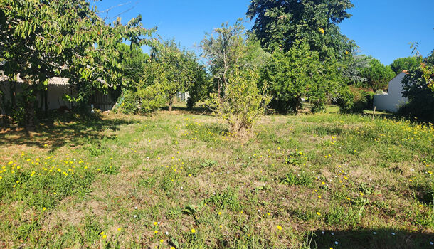 Terrain  à vendre Château-d'Oléron (Le) 17480