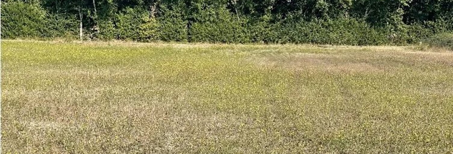 Terrain  3944 m² à vendre à Montcuq-en-Quercy-Blanc (46800)