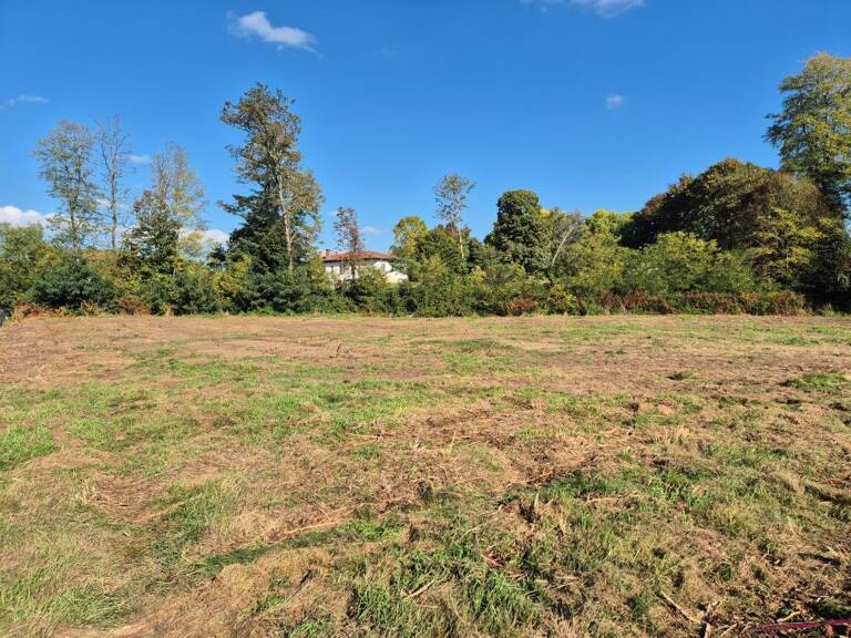 Terrain À Vendre — photo 1