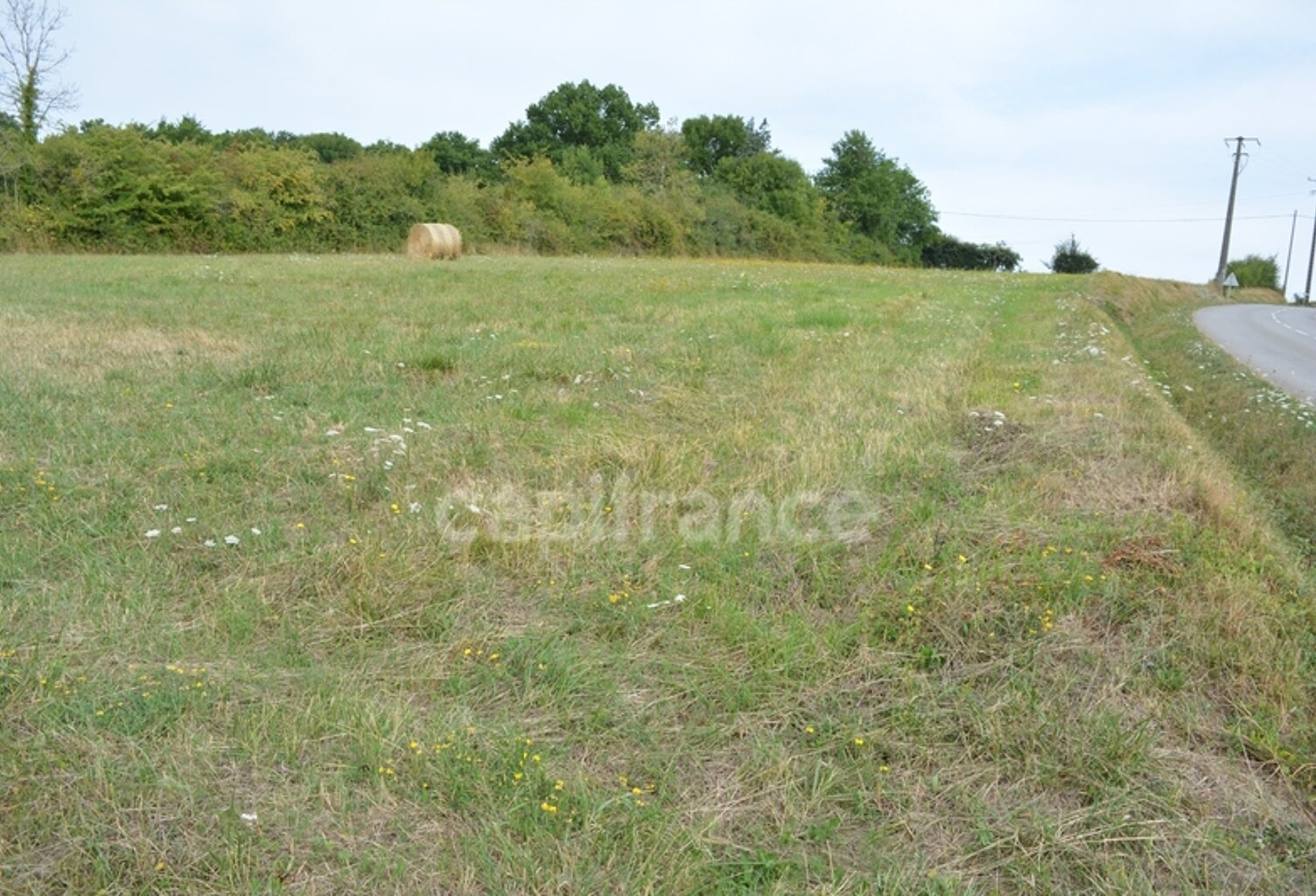 Terrain à construire à vendre  ALLIGNY COSNE (58200) — photo 1