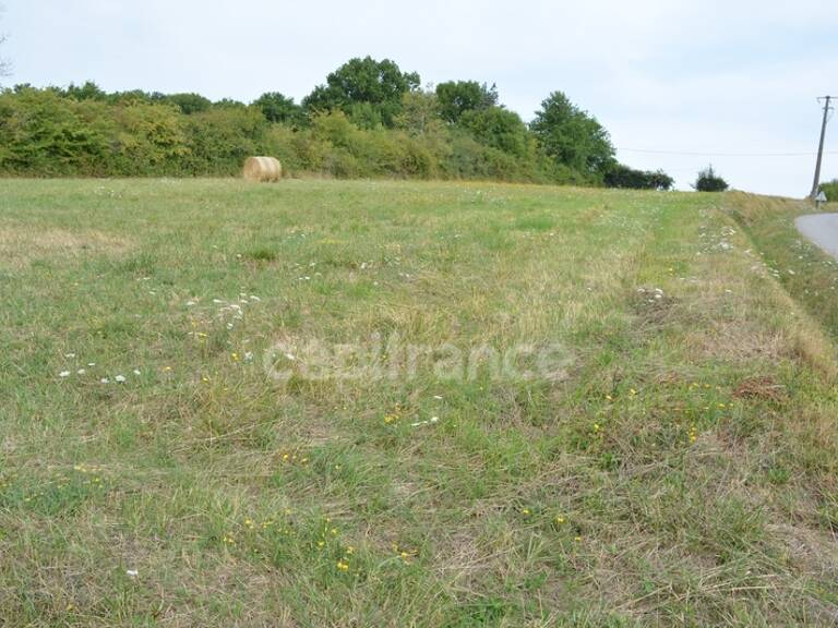 Terrain à construire à vendre  ALLIGNY COSNE (58200) — photo 1