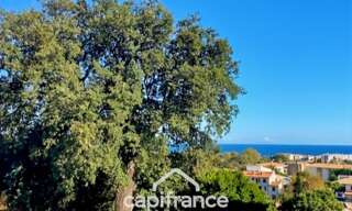 Appartement 3 Pièces 61 m² à vendre à San-Nicolao (20230)