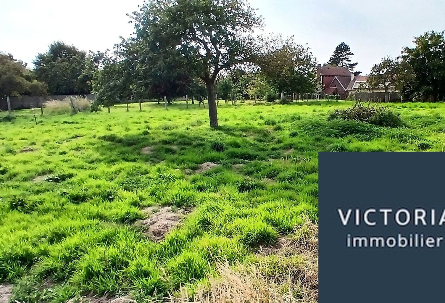 A VENDRE   TERRAIN CONSTRUCTIBLE DE 1000m2 - BELLEVILLE SUR — photo 1