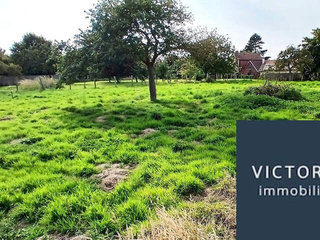 A VENDRE   TERRAIN CONSTRUCTIBLE DE 1000m2 - BELLEVILLE SUR — photo du bien