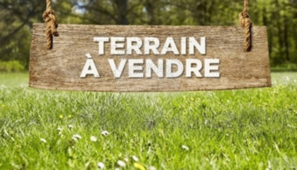 Terrain  à vendre Tremblade (La) 17390
