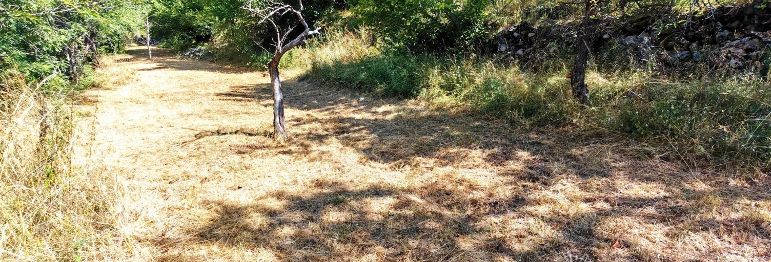 Terrain  1361 m² à vendre à Saint-Martin-Vésubie (06450)