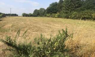 Terrain  4269 m² à vendre à Bellinghem (62129)