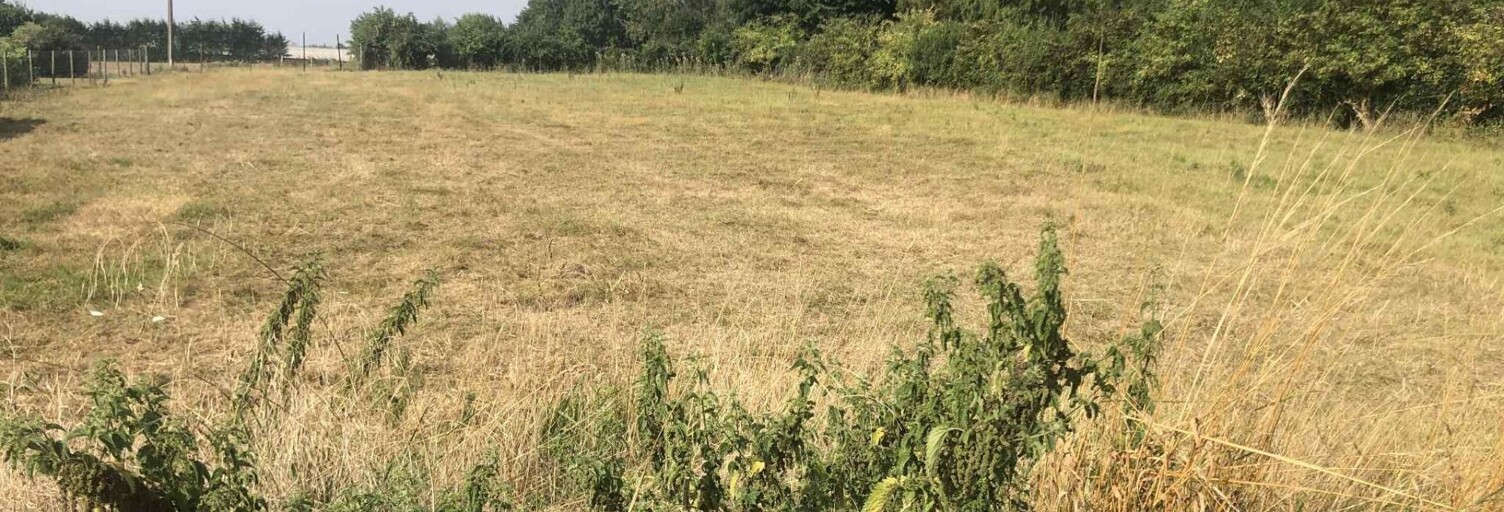 Terrain  4269 m² à vendre à Bellinghem (62129)