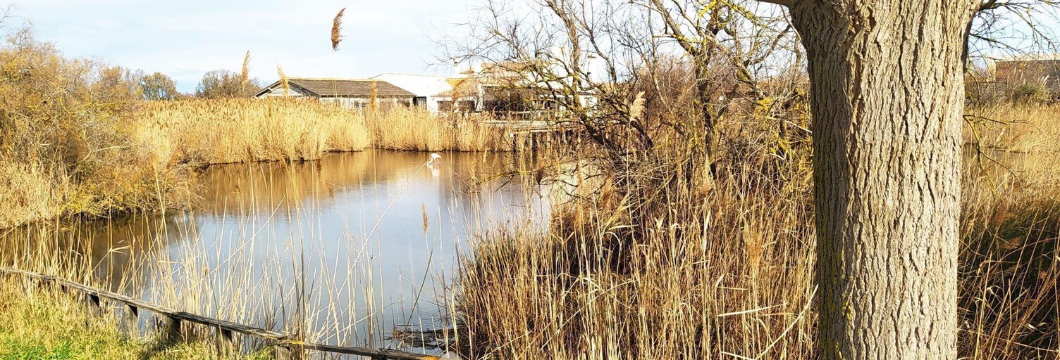 Appartement 3 Pièces 59 m² à vendre à Saintes-Maries-de-la-Mer (13460)