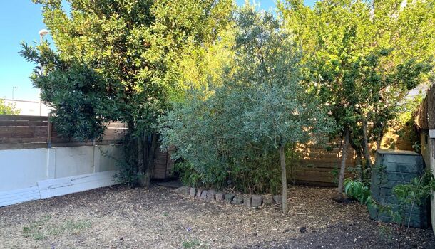 Villa / Maison 3 pièces  à louer Rochelle (La) 17000