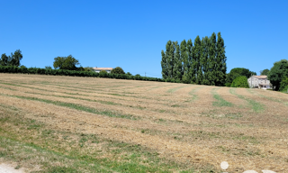Terrain  2019 m² à vendre à Villeneuve-de-Duras (47120)