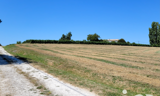Terrain  2019 m² à vendre à Villeneuve-de-Duras (47120)