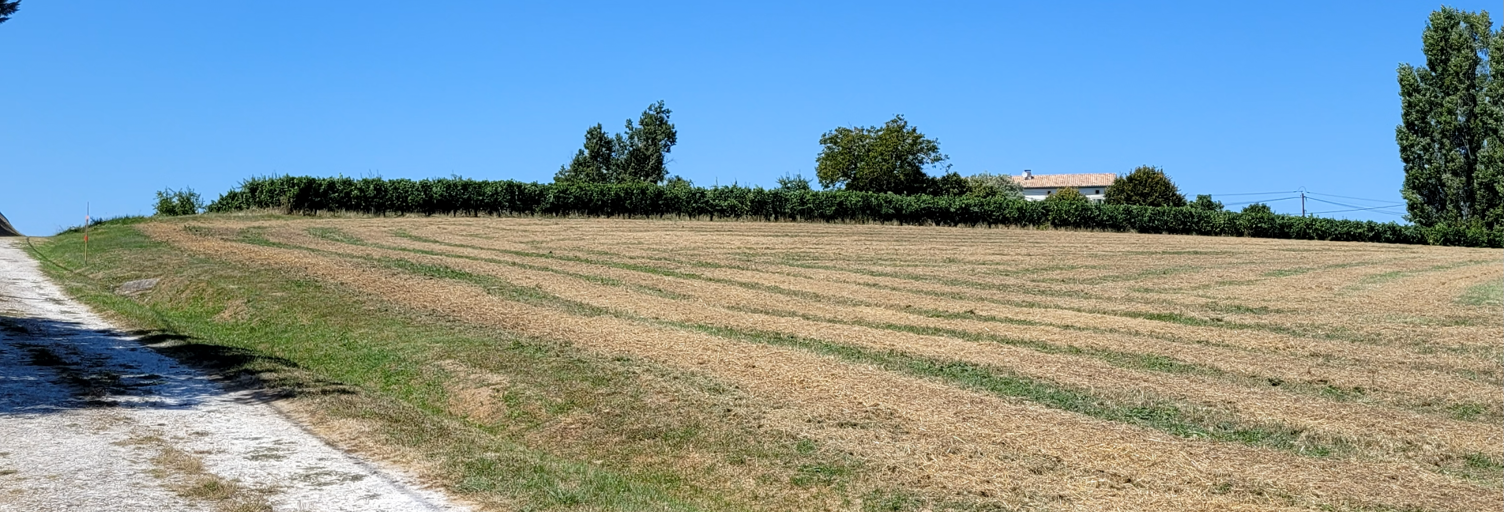 Terrain  2019 m² à vendre à Villeneuve-de-Duras (47120)