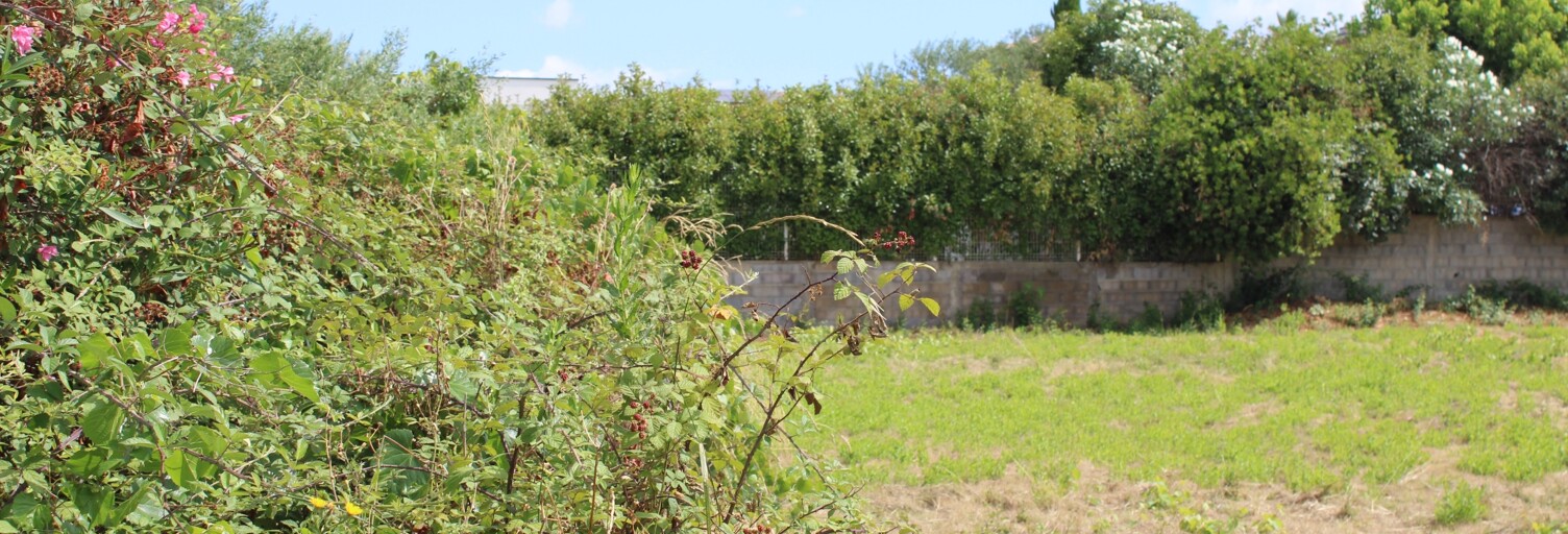 Terrain  1119 m² à vendre à Villeneuve-lès-Béziers (34420)