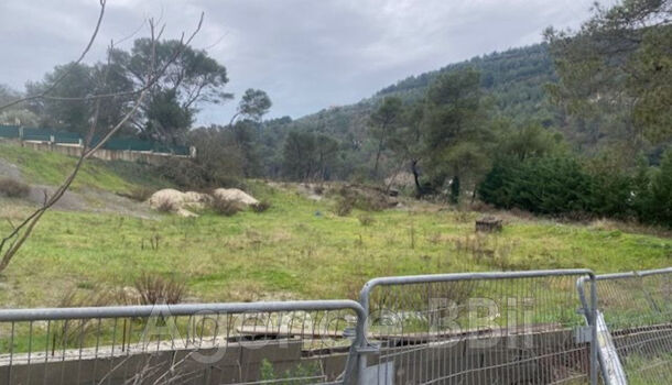 Terrain  à vendre Contes 06390