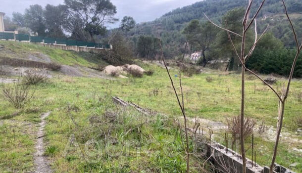 Terrain  à vendre Contes 06390