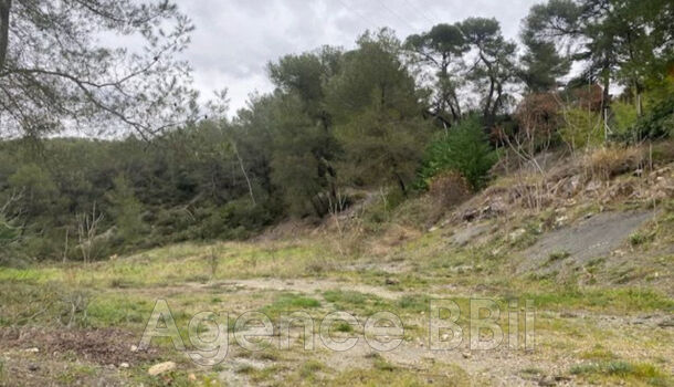 Terrain  à vendre Contes 06390