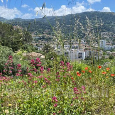 Terrain  2420000 €