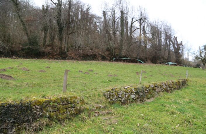 Maison de campagne sur 2 727 m² de terrain avec vue dégagée — photo 4