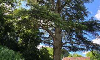 Terrain  2372 m² à vendre à Biard (86580)