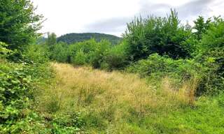 Terrain  890 m² à vendre à Colroy-la-Roche (67420)