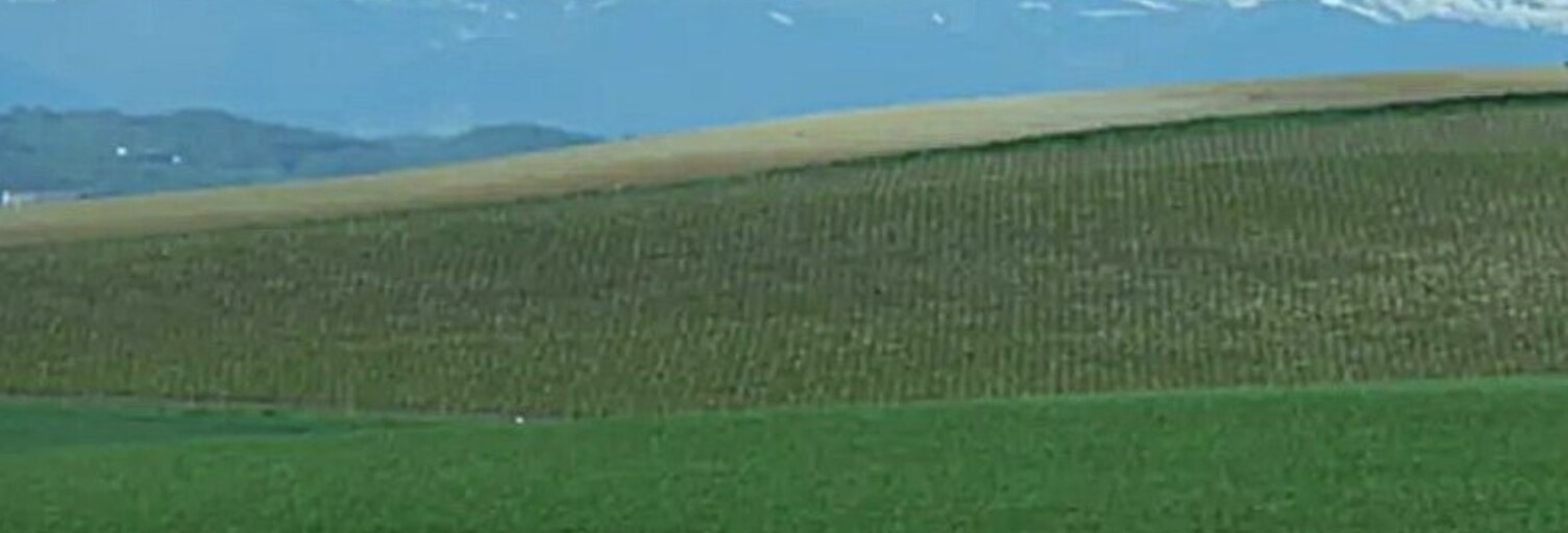 Maison 7 Pièces 210 m² à vendre à Orthez (64300)