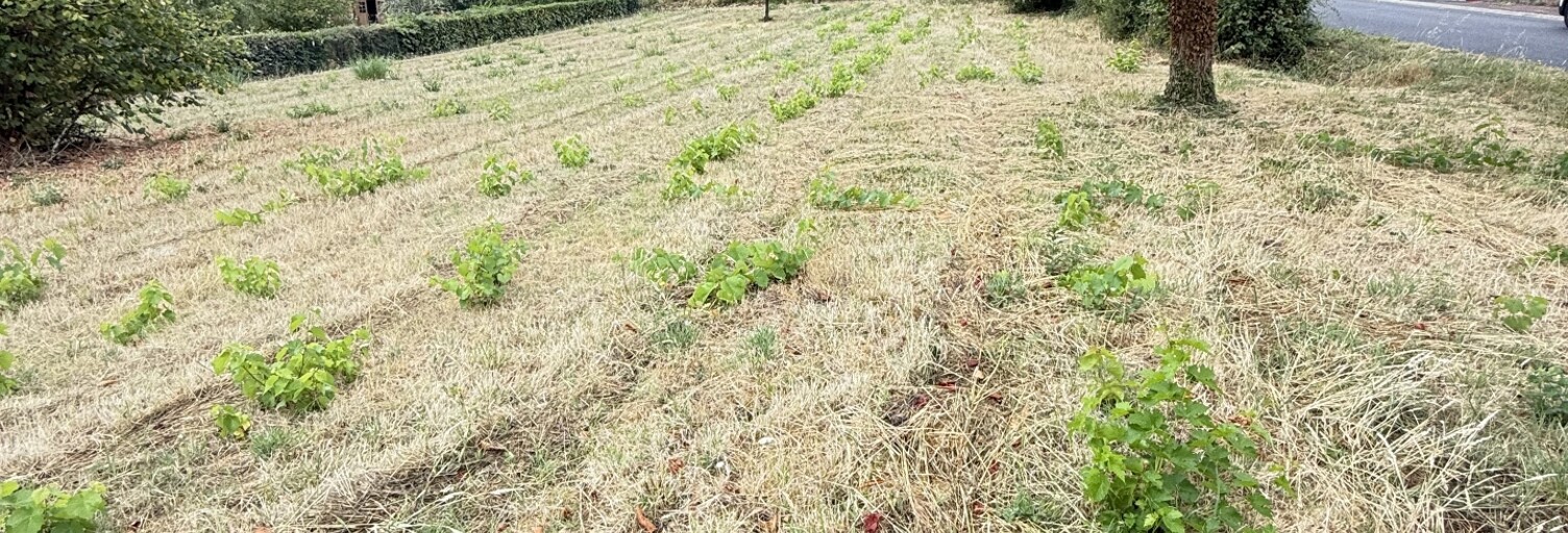 Terrain  1780 m² à vendre à Cenon-sur-Vienne (86530)