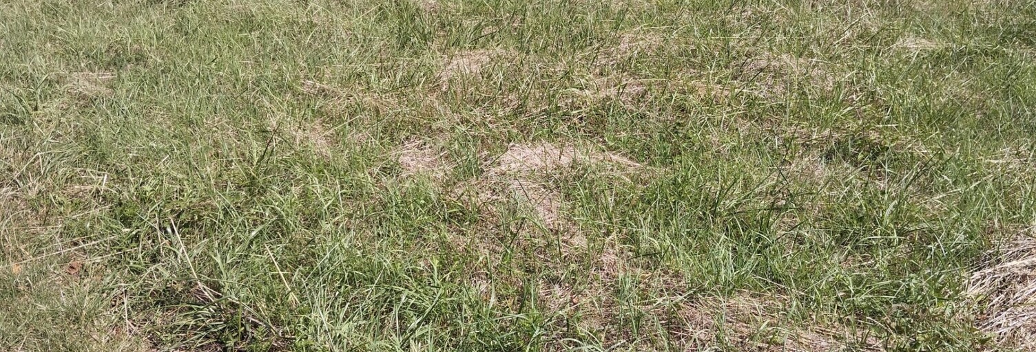 Terrain  751 m² à vendre à Naveil (41100)