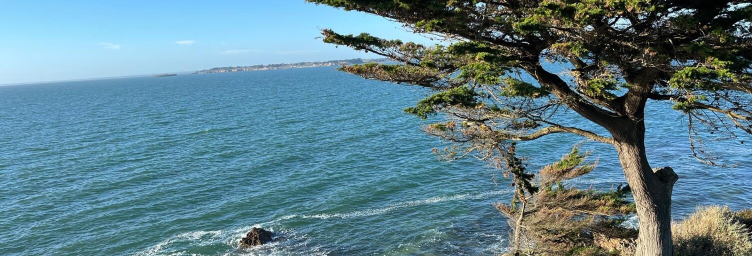 Appartement 4 Pièces 100 m² à vendre à Mesquer (44420)