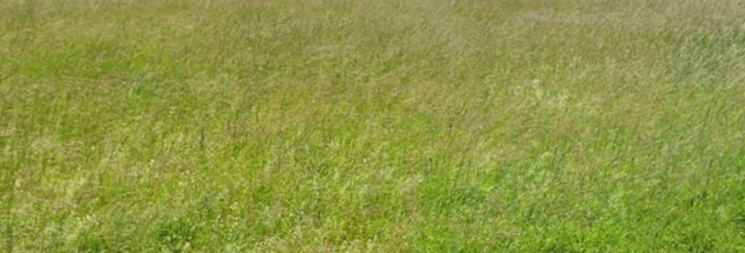 Terrain  991 m² à vendre à Naveil (41100)