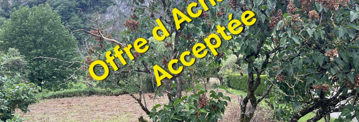 Terrain  875 m² à vendre à Laifour (08800)