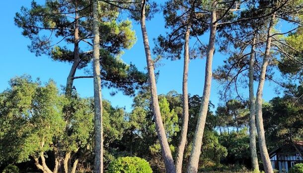 Villa / Maison 6 pièces  à vendre Labenne 40530