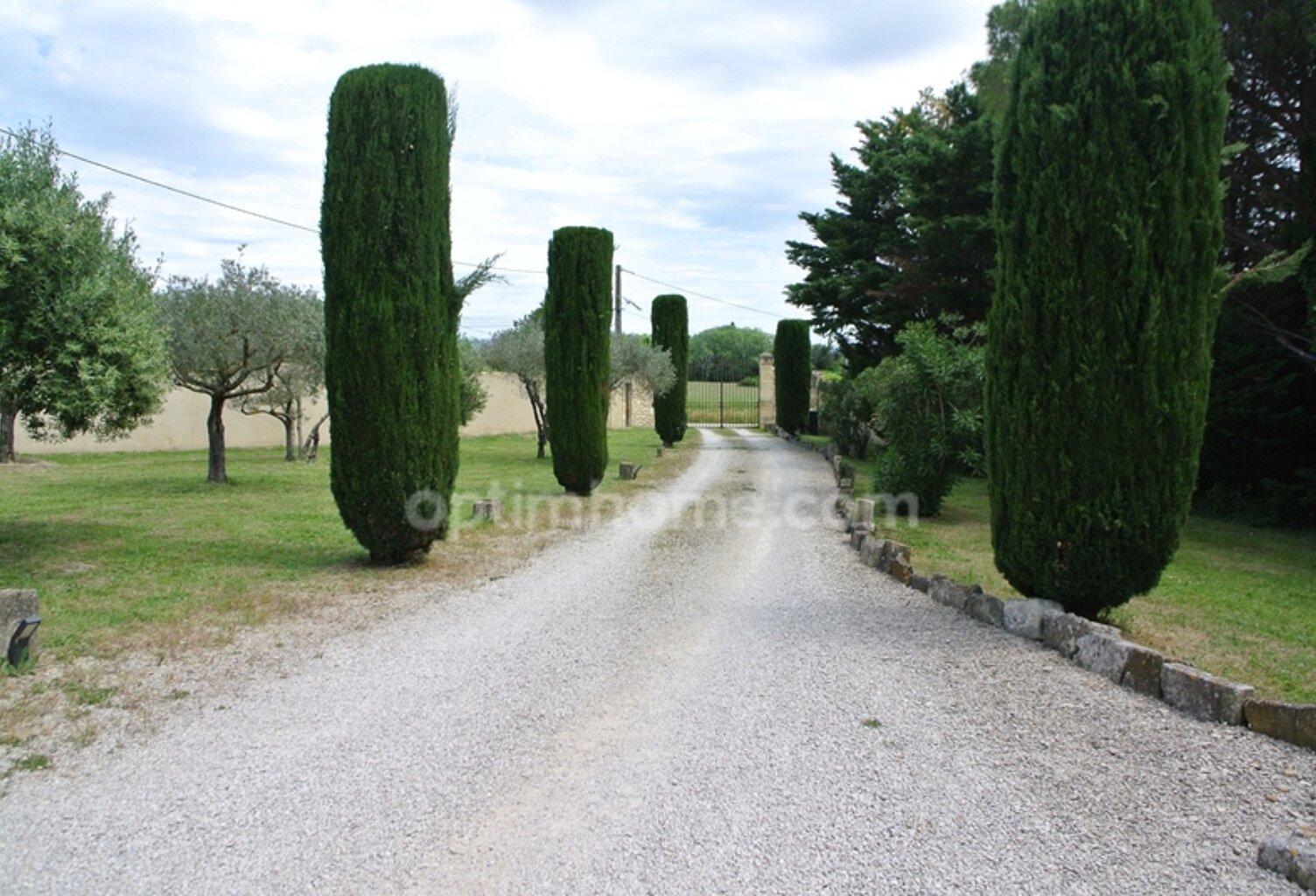 Mas à Saint Rémy de Provence avec vue Alpilles — photo 1