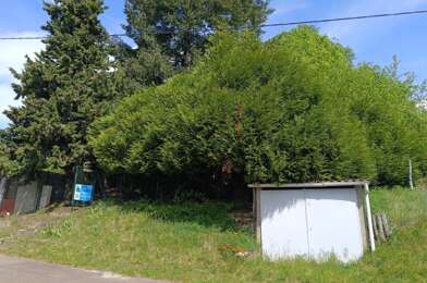 Terrain  29900 €