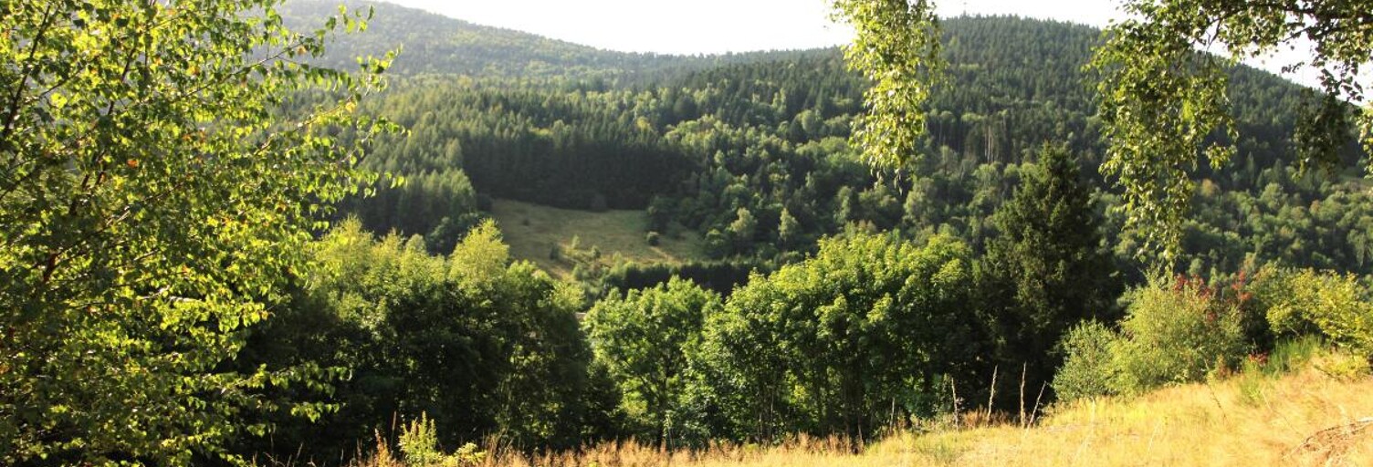 Terrain  2080 m² à vendre à Bussang (88540)