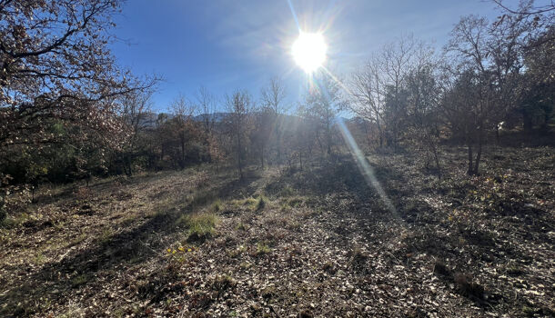 Terrain  à vendre Reynès 66400