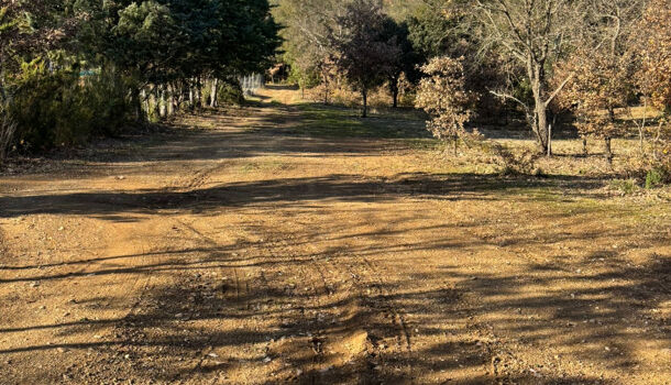 Terrain  à vendre Reynès 66400