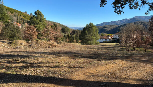 Terrain  à vendre Reynès 66400
