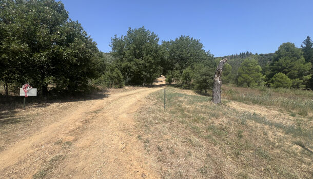 Terrain  à vendre Reynès 66400