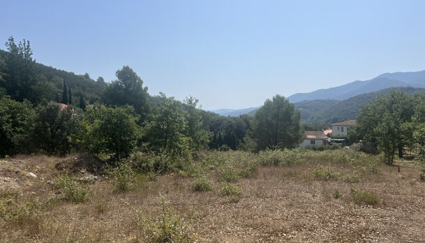 Terrain  à vendre Reynès 66400